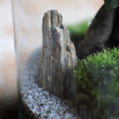 gnejs paskowany - zielony słoik