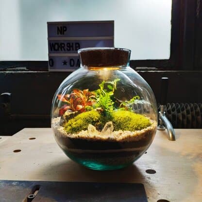 kula duza z korkiem led