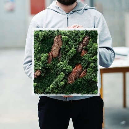 obraz z mchu 02 obraz z mchu w białej ramie