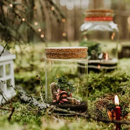 zestaw zrób to sam las w cylindrze z korkiem H25