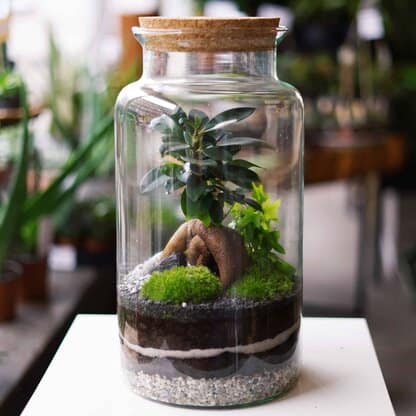 zestaw diy ogród japoński zrób to sam nr 2