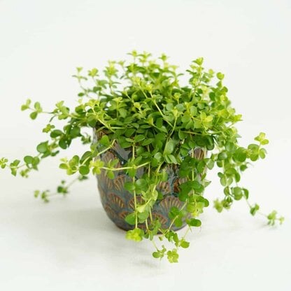 Osłonka ceramiczna retro LEAVES 10,5 cm