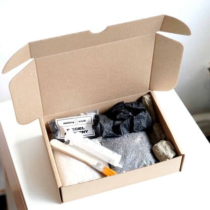 zestaw akcesoriów do lasu w słoiku