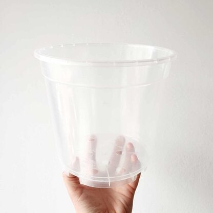 doniczka przezroczysta