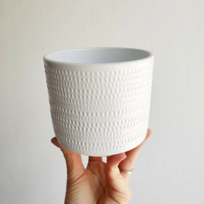 cylinder biały