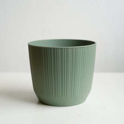 osłonka ryfo zielona