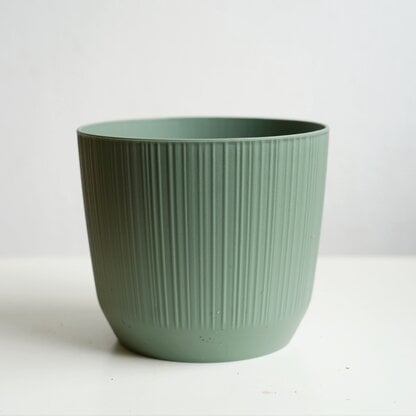 osłonka ryfo zielona