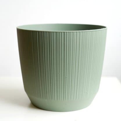 osłonka ryfo zielona