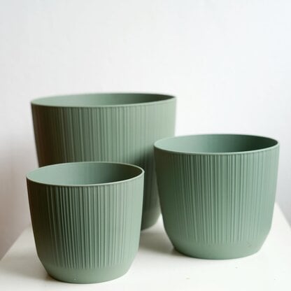 osłonka ryfo zielona