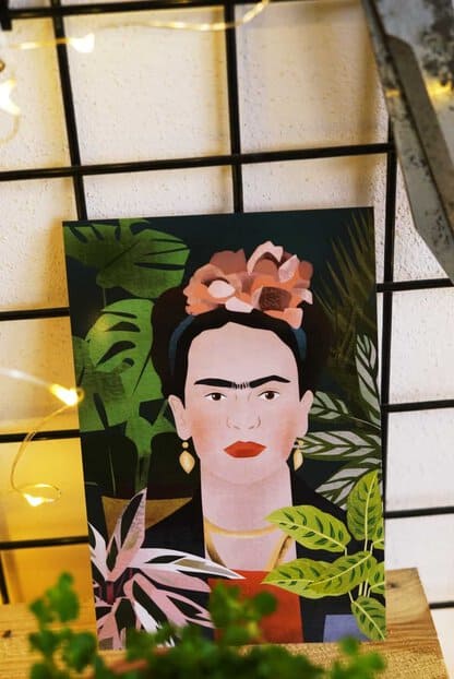 Świąteczny zestaw roślinny 'Bubble' Świąteczny zestaw roślinny 'Bubble'