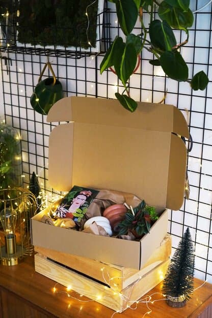 Świąteczny zestaw roślinny 'Bubble' Świąteczny zestaw roślinny 'Bubble'