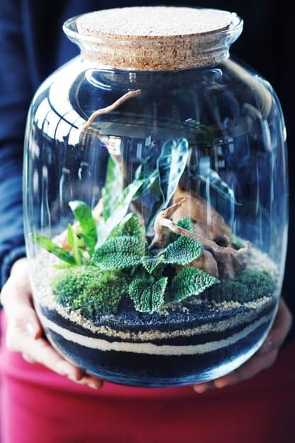 przykładowa kompozycja