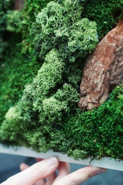 obraz z mchu zielony słoik DIY