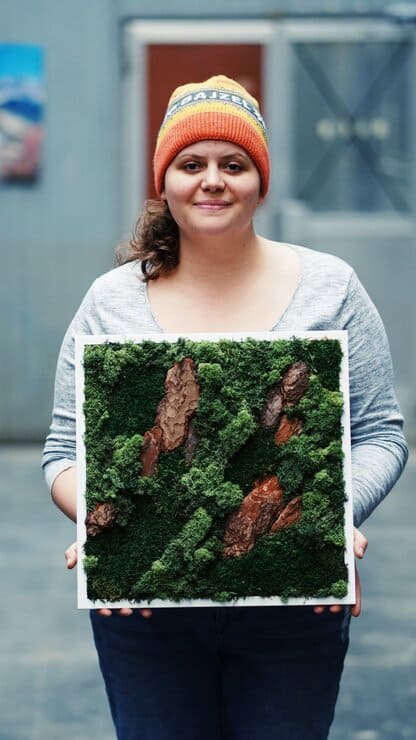 obraz z mchu chrobotek reniferowy