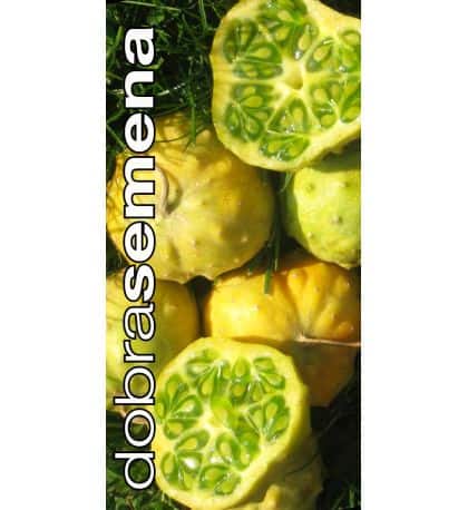 Ogamelon / kiwano  "Jelly Round"