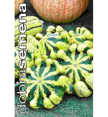 Patisson "Vert Jaune"