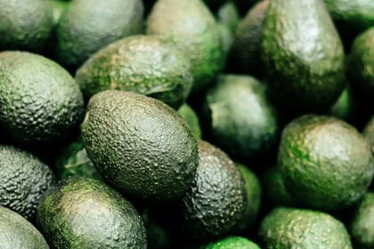 Close-up of green, pebbly-skinned avocados piled together in a heap.