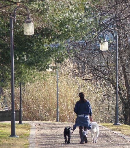 Benefits Of Just Walking