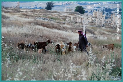 Al momento stai visualizzando Giordania dalla A alla Z – Prima parte