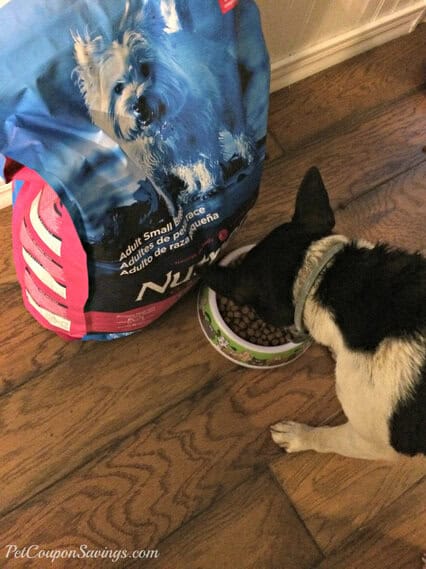 Try Nutrience Pet Food