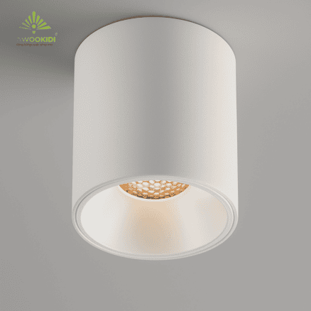 Đèn downlight gắn nổi FK-DOR010F công suất 10W