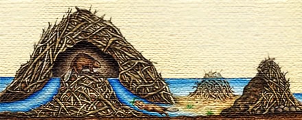 איור סכר בונים איור סכר בונים