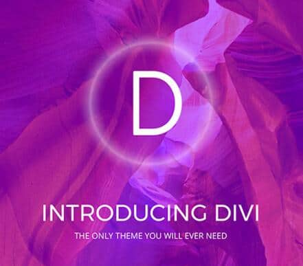 divi theme