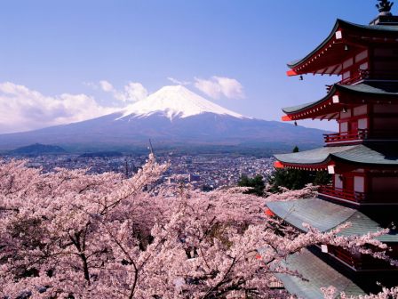 One year MBA in India IIM Ahmedabad PGPX 1 yr executive MBA