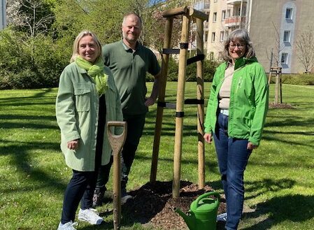 Baum des Jahres gepflanzt in Forst