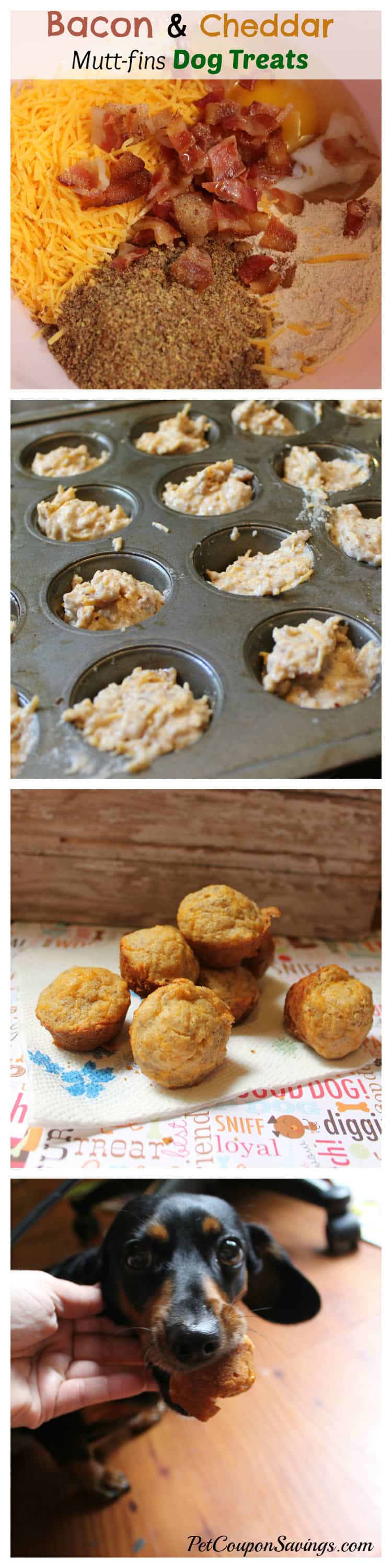 Easy Bacon and Cheddar Muttfins Dog Treats