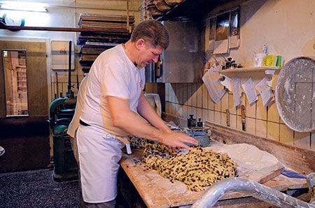 Lichterglanz im Parkdorf Branitz