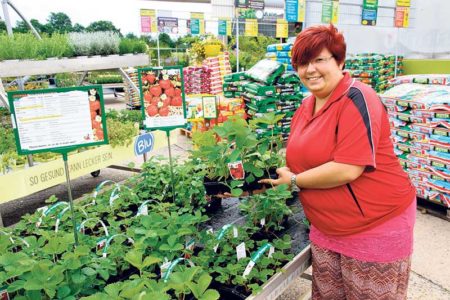 Cottbus: Erdbeersaison 2018 beginnt 1 Floralia