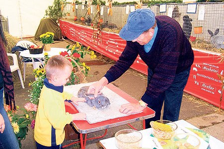 Händler-Vielfalt auf Lausitzer Herbstmarkt vom 26.09.-04.10.