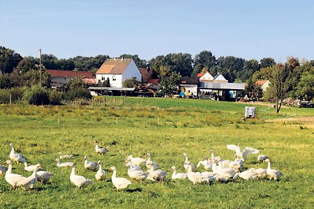 Ländliche Idylle & Unternehmerfleiß in Cantdorf