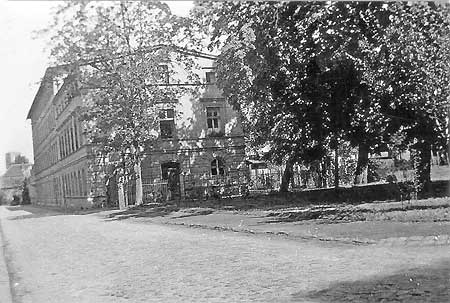 Cottbus: Hundewiese statt Tuchfabrik