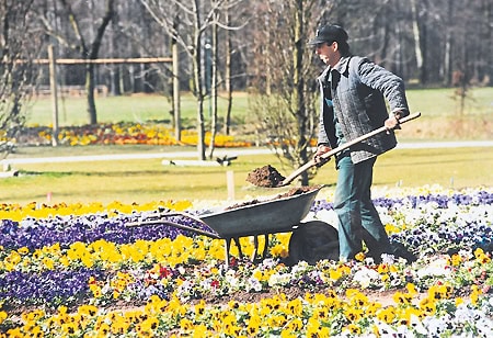 Der kurze Weg zur BuGa