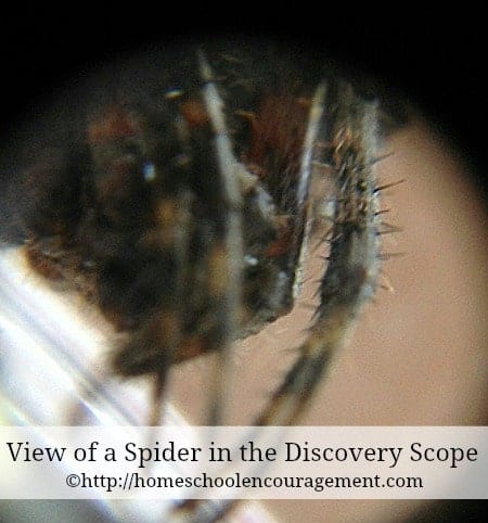 The Discovery Scope is a great tool to explore the world around us.  Nature, science and more will come alive through the lens of the Discovery Scope. #homeschool 