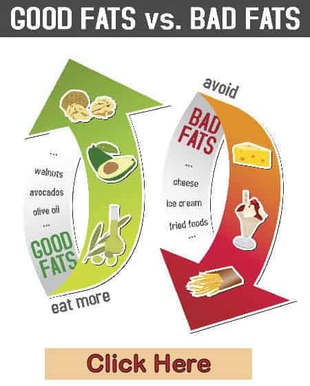 Fats Your Body Needs