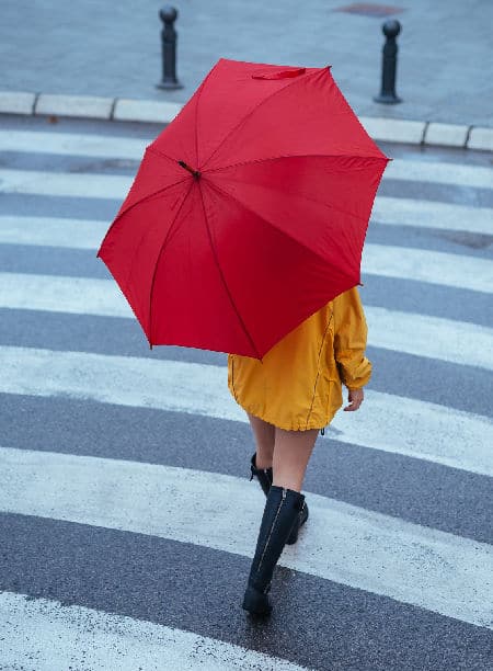 Walking Helps Brain Function