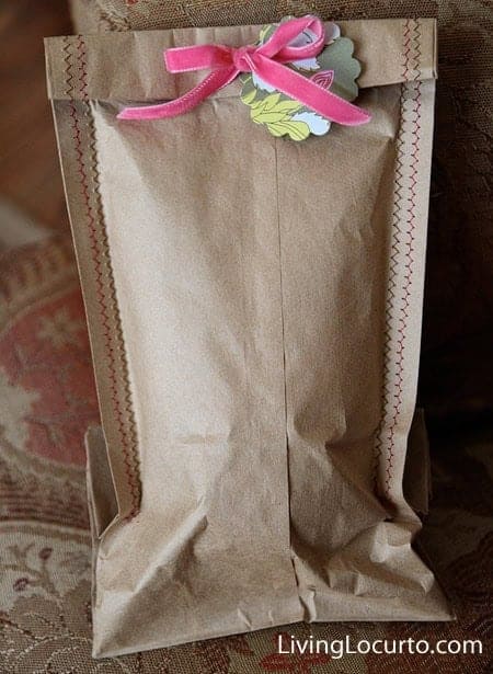 Homemade Gift Bag - Easy Sewing Craft.  LivingLocurto.com