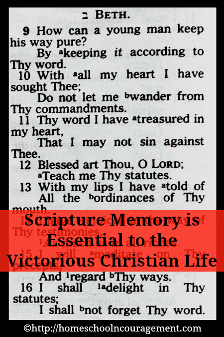 Do you need a tool to help you and your children stand against temptation? Do you want a victorious Christian life? Scripture memory is essential to having that victorious life in Christ.