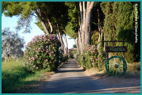 Al momento stai visualizzando Antica fattoria La Parrina