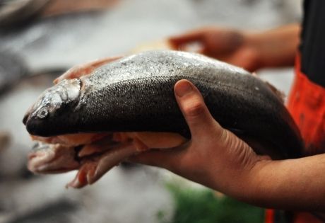 Fish from the market. Going to the fish market is one of the most enjoyable activities in Ericeira.