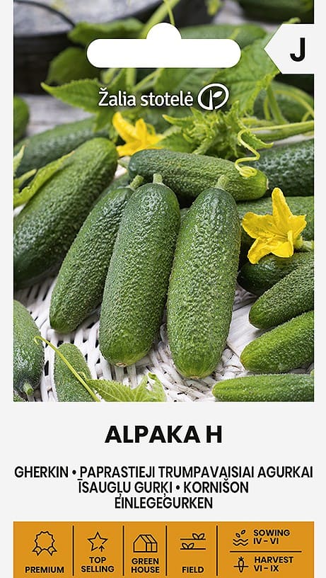 Avamaakurk "Alpaca"/"Alpaka" F1