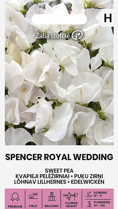 Lõhnav lillhernes "Spencer Royal Wedding"