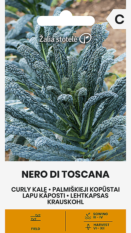 Kähar lehtkapsas "Nero di Toscana"
