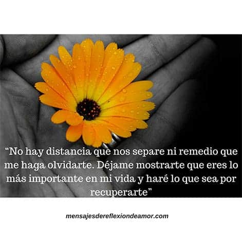 Como regresar con mi ex