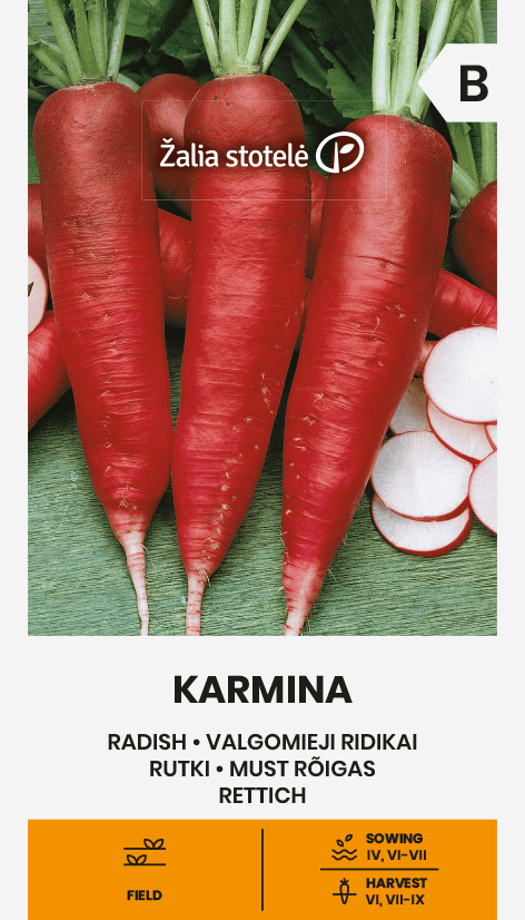 Rõigas "Karmina"