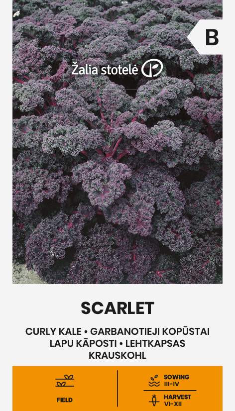 Kähar lehtkapsas "Scarlet"