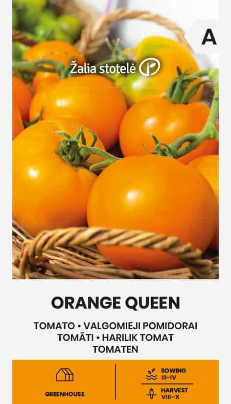Tomat "Orange Queen"